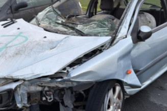 Feu arriere principal gauche (feux) PEUGEOT 206