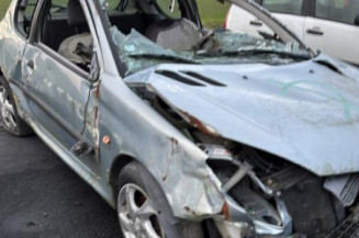 Feu arriere principal gauche (feux) PEUGEOT 206