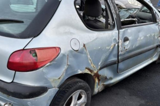 Feu arriere principal gauche (feux) PEUGEOT 206