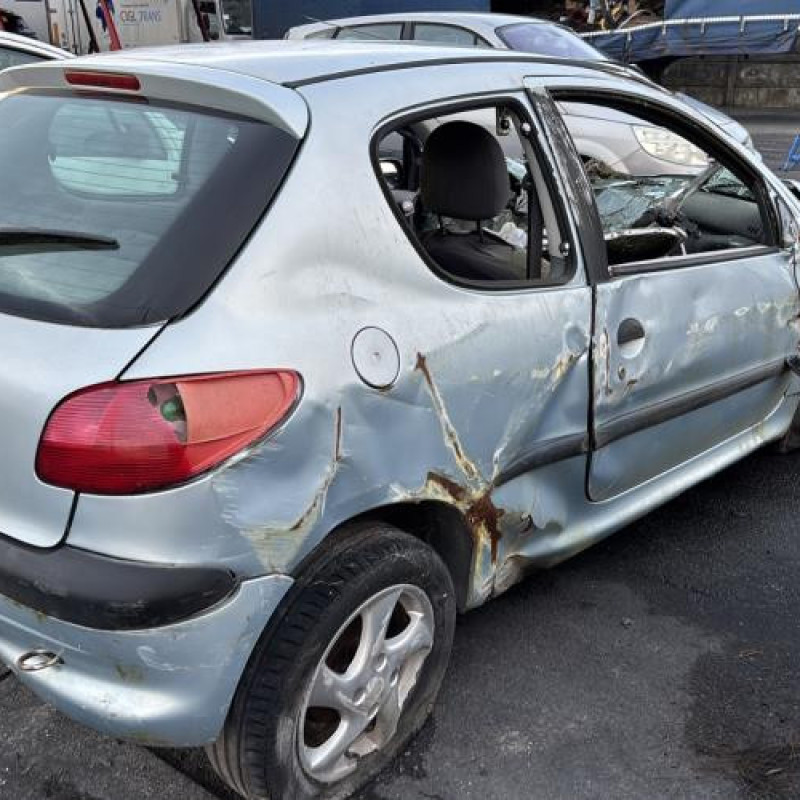 Feu arriere principal gauche (feux) PEUGEOT 206 Photo n°6