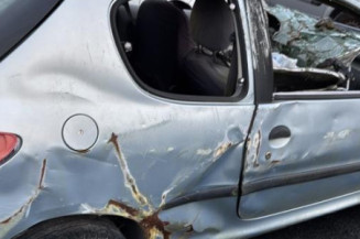 Feu arriere principal gauche (feux) PEUGEOT 206