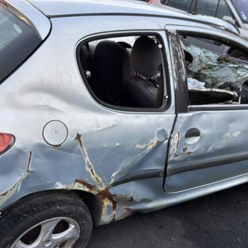 Feu arriere principal gauche (feux) PEUGEOT 206 Photo n°10