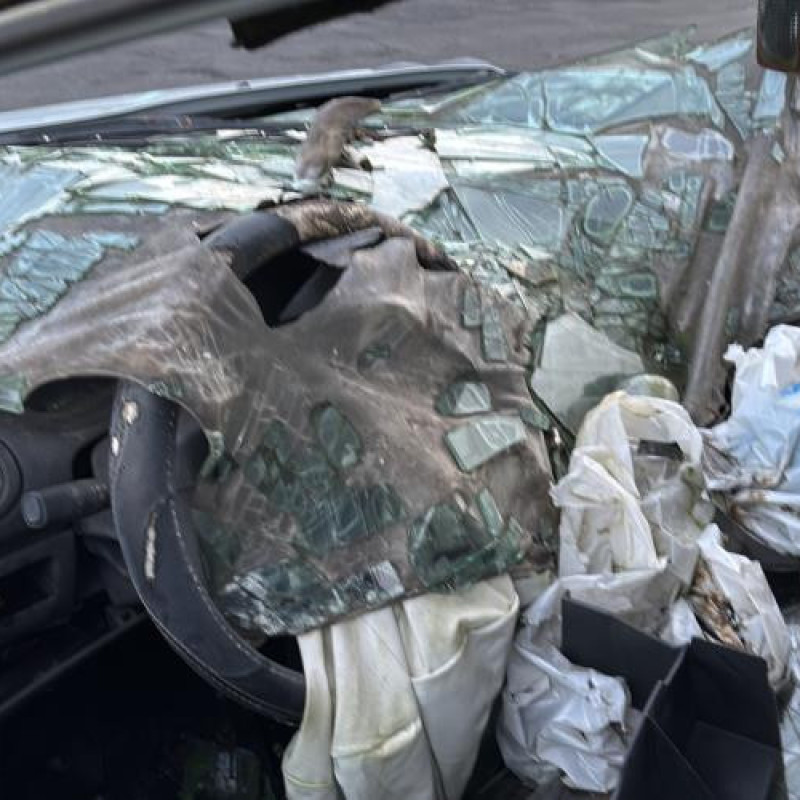 Feu arriere principal gauche (feux) PEUGEOT 206 Photo n°12