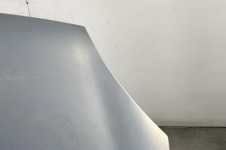 Capot RENAULT CLIO 2