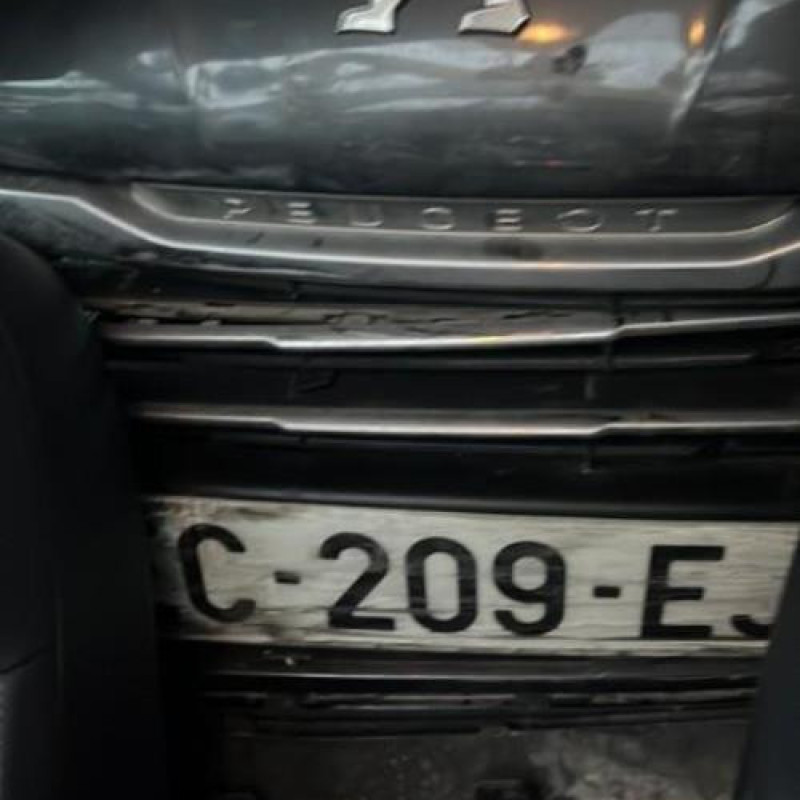 Amortisseur avant droit PEUGEOT 3008 1 Photo n°9