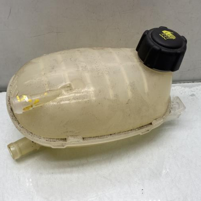 Vase d'expansion DACIA SANDERO 3 STEPWAY Photo n°1