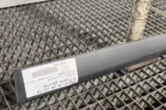 Baguette de porte arriere gauche  RENAULT MODUS
