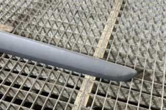 Baguette de porte arriere gauche  RENAULT MODUS