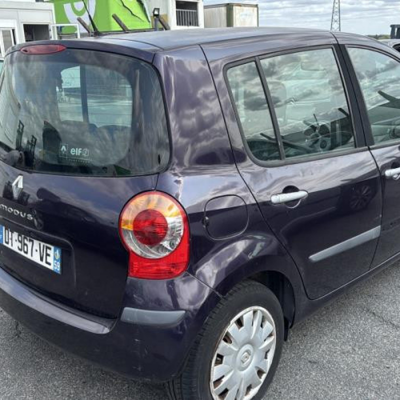 Baguette de porte arriere gauche  RENAULT MODUS Photo n°7