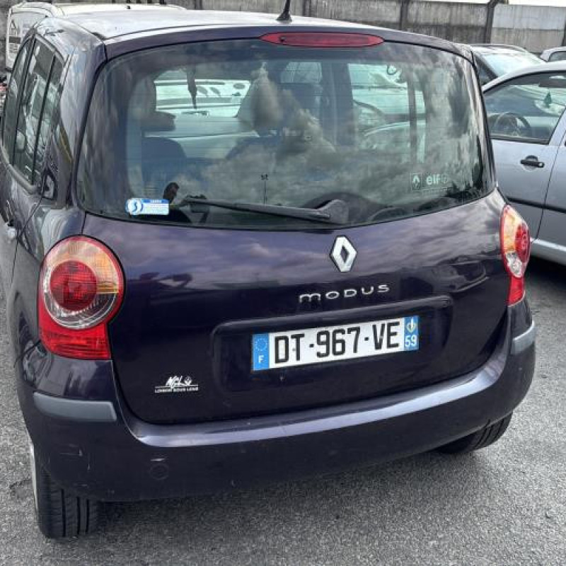 Baguette de porte arriere gauche  RENAULT MODUS Photo n°8