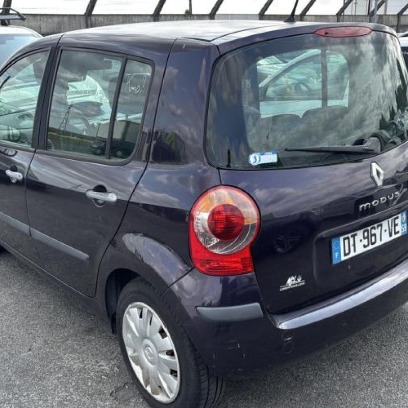 Baguette de porte arriere gauche  RENAULT MODUS Photo n°9