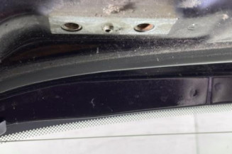 Malle/Hayon arriere RENAULT MODUS