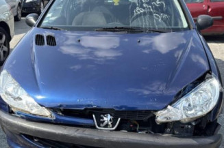 Vase de lave glace PEUGEOT 206