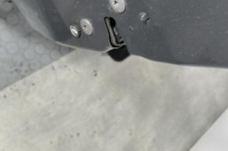 Porte avant gauche CITROEN DS3