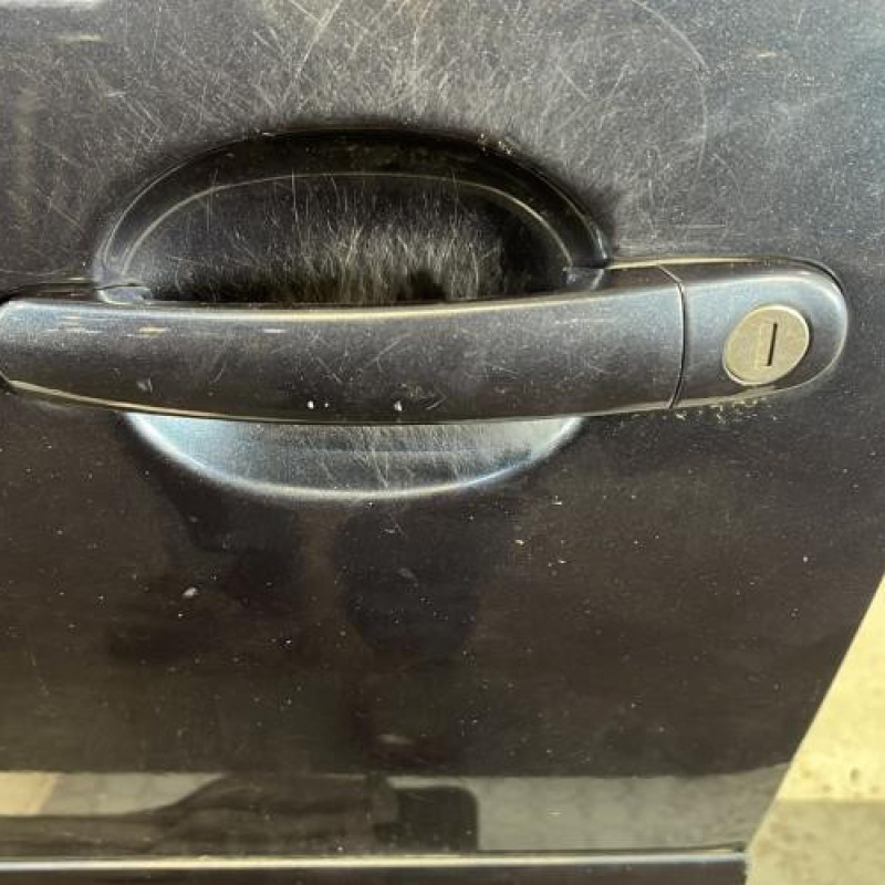 Porte avant gauche VOLKSWAGEN GOLF 5 Photo n°2