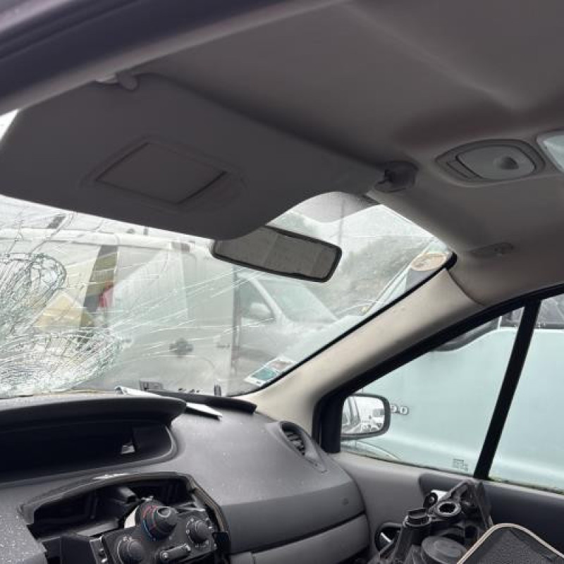 Custode arriere droit RENAULT SCENIC 2 Photo n°17