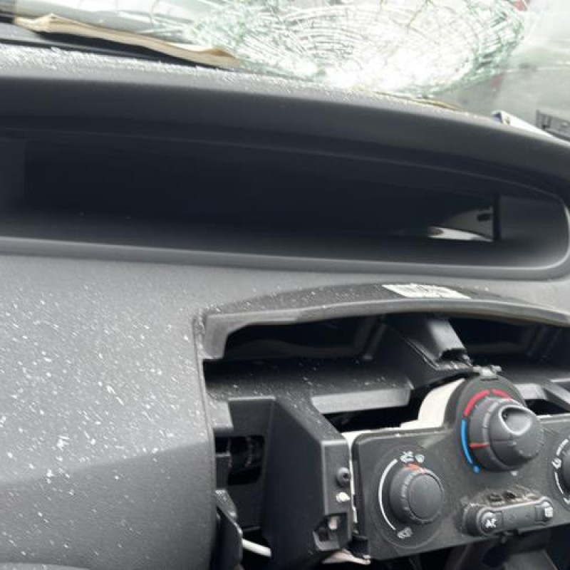 Custode arriere droit RENAULT SCENIC 2 Photo n°18