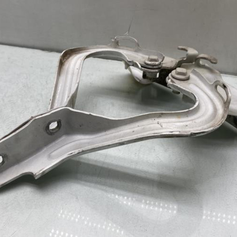 Charniere de capot CITROEN JUMPER 3 Photo n°5