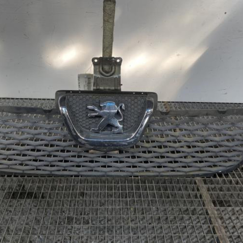 Grille de pare choc PEUGEOT BOXER 3 Photo n°1