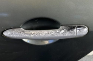 Porte arriere gauche RENAULT MODUS