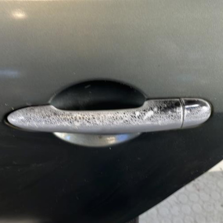 Porte arriere gauche RENAULT MODUS