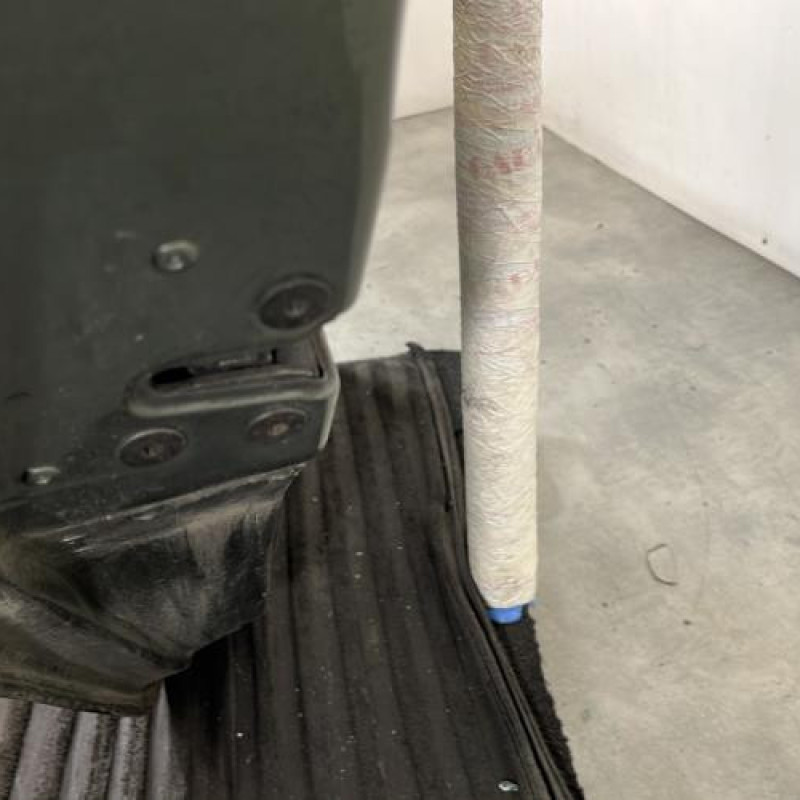 Porte arriere gauche RENAULT MODUS Photo n°3