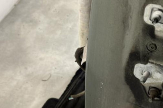 Porte arriere gauche RENAULT MODUS