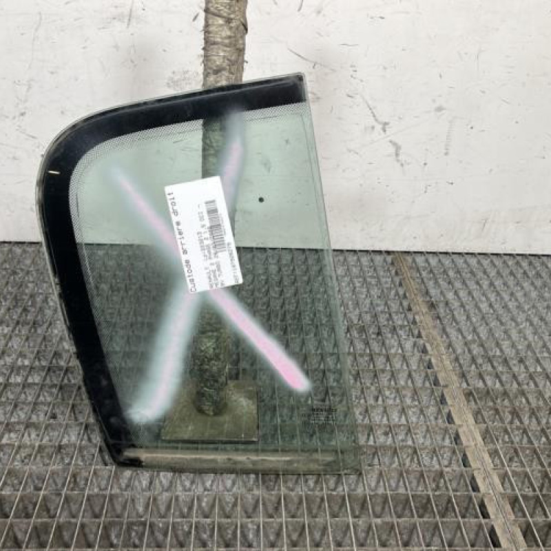 Custode arriere droit (porte) RENAULT MEGANE 2 Photo n°1