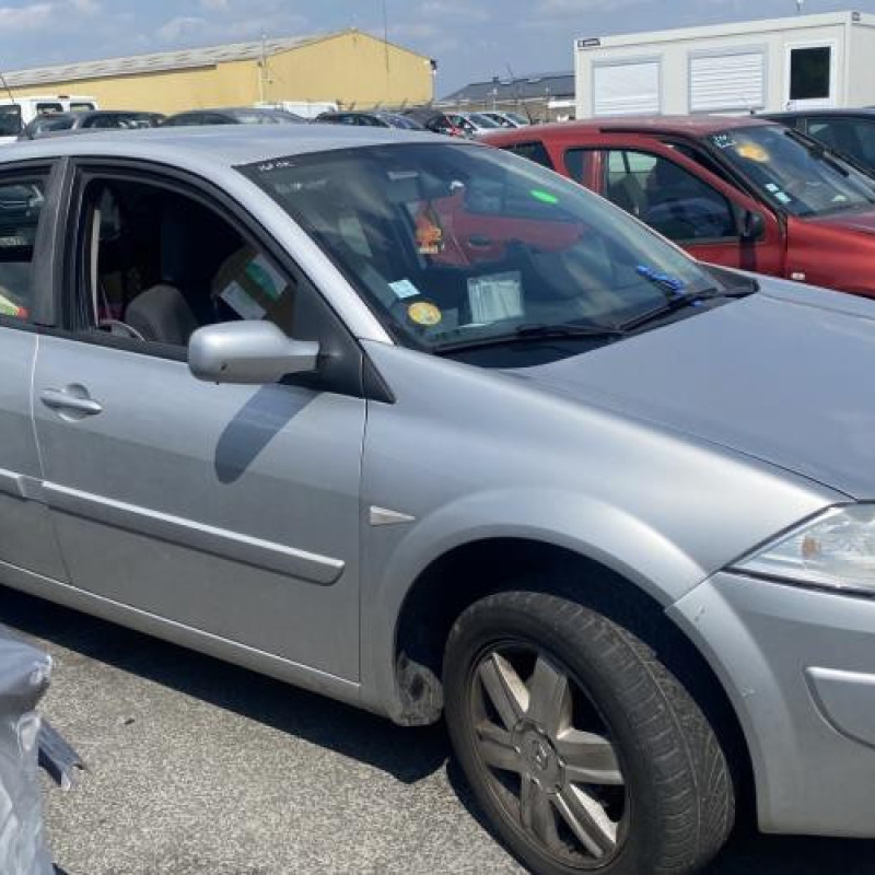 Custode arriere droit (porte) RENAULT MEGANE 2 Photo n°11