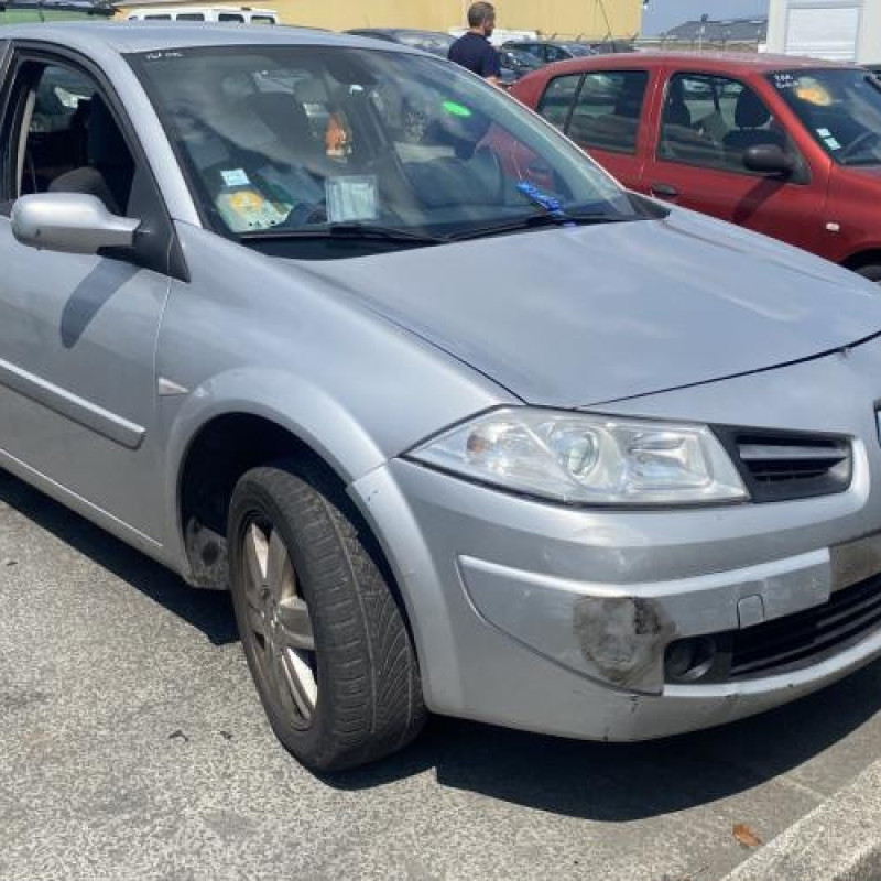 Custode arriere gauche (porte) RENAULT MEGANE 2 Photo n°6