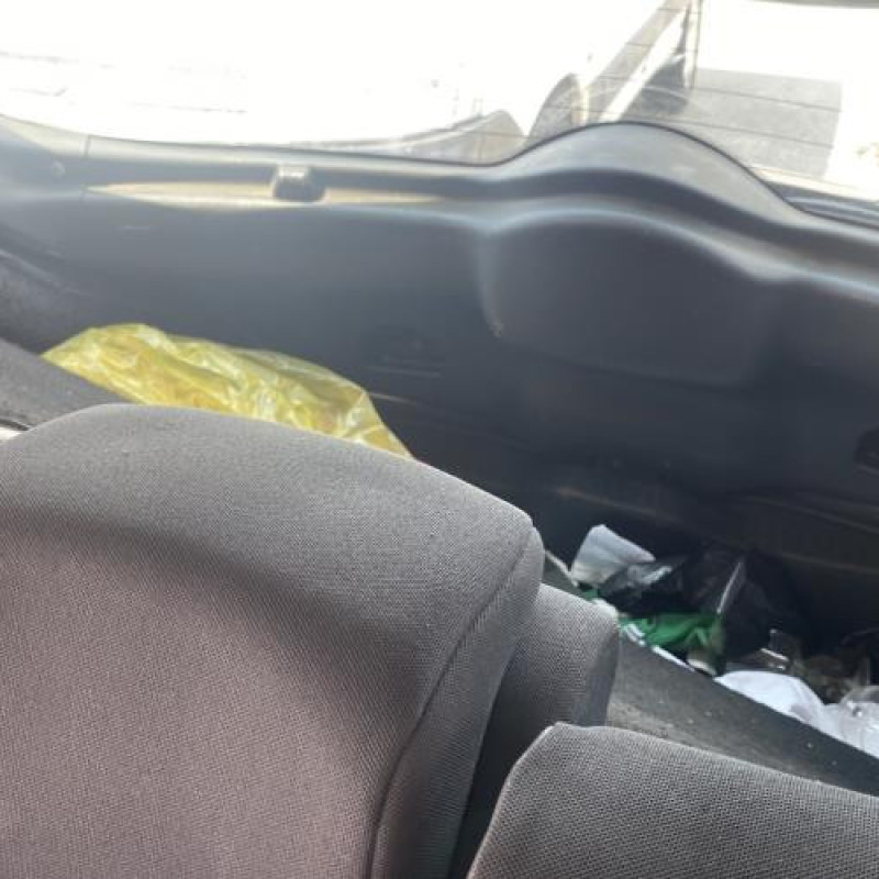 Custode arriere gauche (porte) RENAULT MEGANE 2 Photo n°15