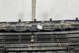 Grille de pare choc CITROEN C4 2