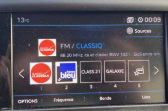 Enjoliveur anti brouillard PEUGEOT 208 1