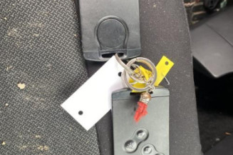 Grille de pare choc RENAULT CLIO 4