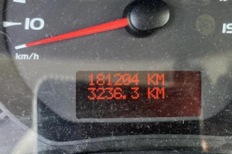 Grille de pare choc RENAULT CLIO 3