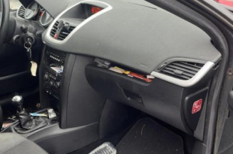 Enjoliveur anti brouillard PEUGEOT 207