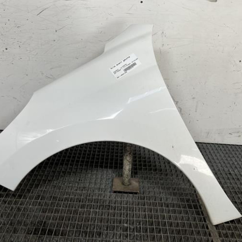 Aile avant gauche PEUGEOT 207 Photo n°1