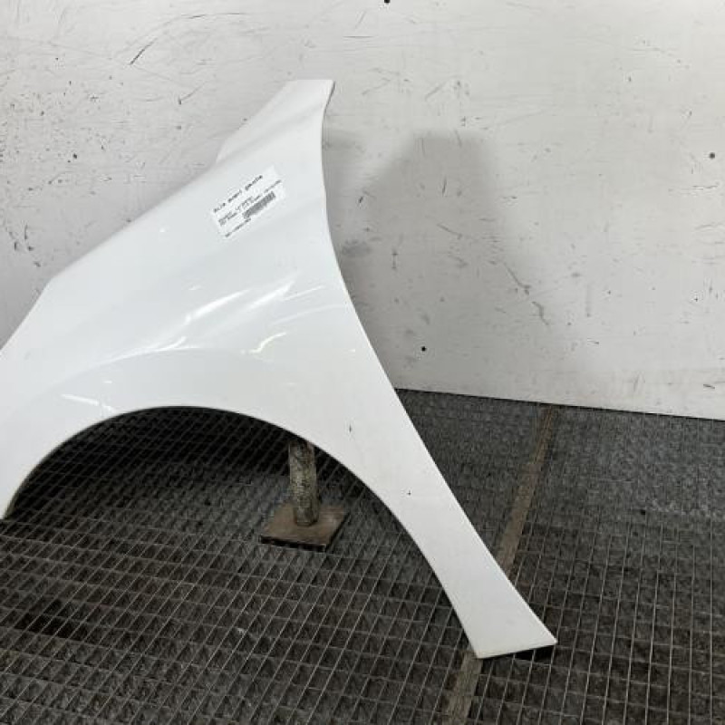 Aile avant gauche PEUGEOT 207 Photo n°3