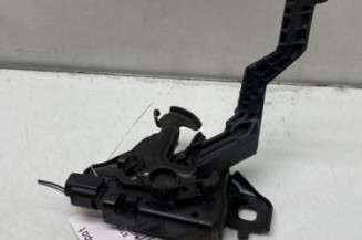 Fermeture de capot DACIA SANDERO 3 STEPWAY Photo n°1