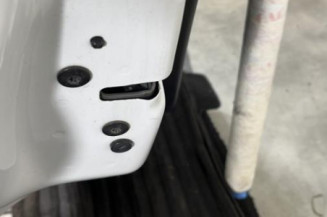 Porte arriere gauche PEUGEOT 208 1