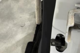 Porte arriere gauche PEUGEOT 208 1