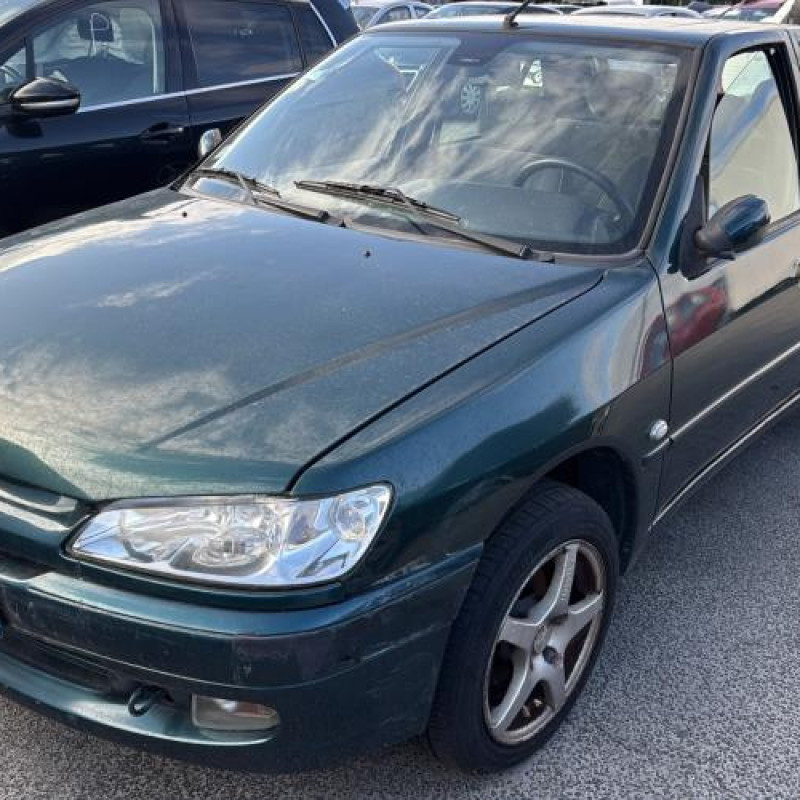 Porte avant gauche PEUGEOT 306 Photo n°10