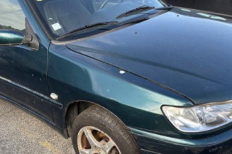 Porte avant gauche PEUGEOT 306