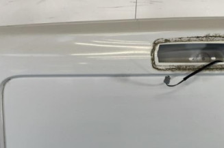Porte de coffre gauche RENAULT TRAFIC 3 COURT
