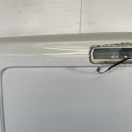 Porte de coffre gauche RENAULT TRAFIC 3 COURT