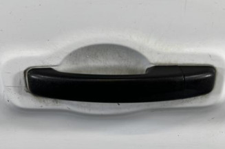 Porte de coffre gauche RENAULT TRAFIC 3 COURT