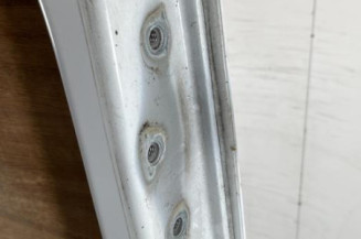 Porte de coffre gauche RENAULT TRAFIC 3 COURT