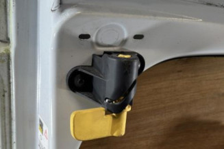Porte de coffre gauche RENAULT TRAFIC 3 COURT