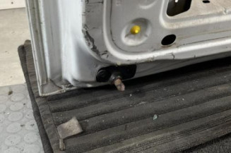 Porte de coffre gauche RENAULT TRAFIC 3 COURT