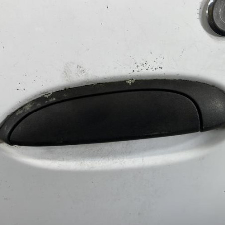 Porte avant gauche DACIA LOGAN 1